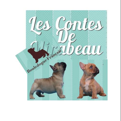 Elevage Bouledogue Français des Contes De Mirabeau