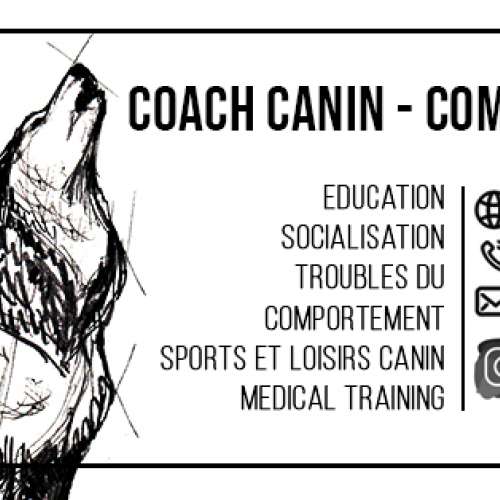 Educateur canin - Comportementaliste Montpellier