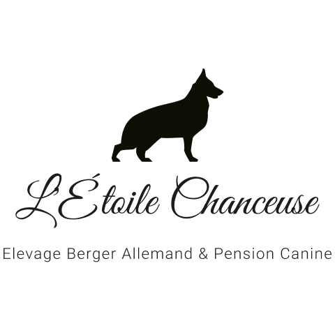 L'Etoile Chanceuse élevage de Berger Allemand LOF