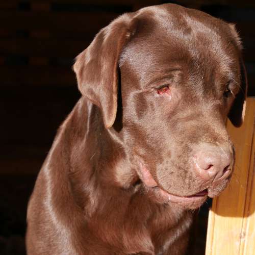 du lac de la triouzoume