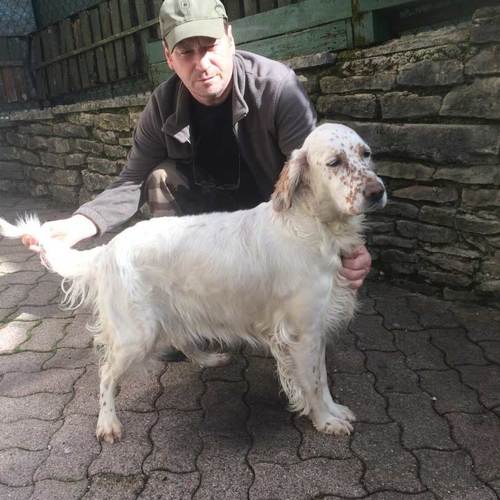 Elevage des Pâturages du Lomont