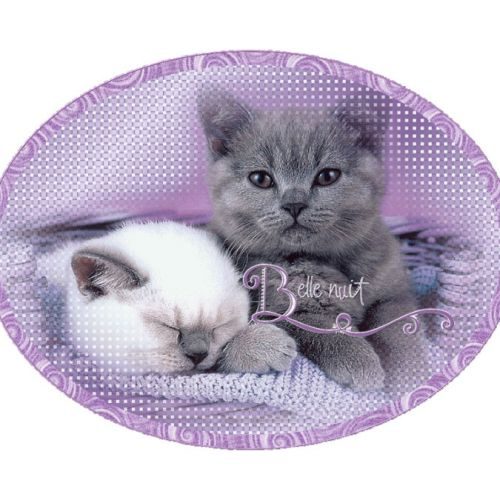 Elevage de l'etoile du cygne