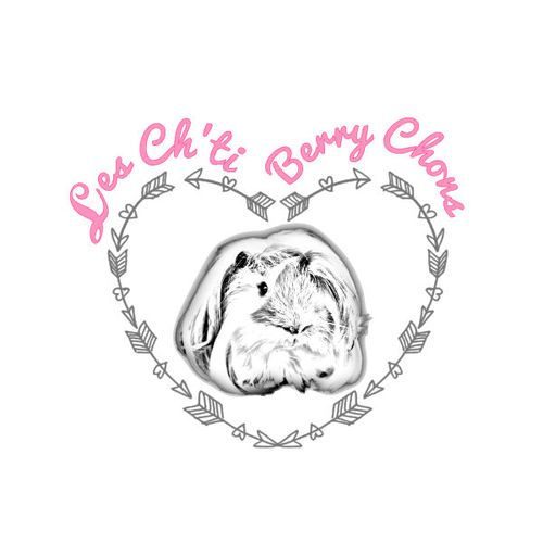 Les Ch'ti Berry Chons