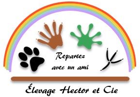 Elevage de rongeurs Hector & Cie