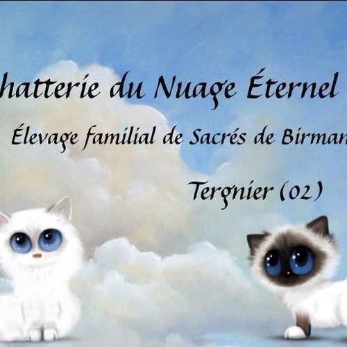 Chatterie du Nuage Éternel