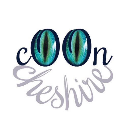 Maine Coon LOOF - BORDEAUX