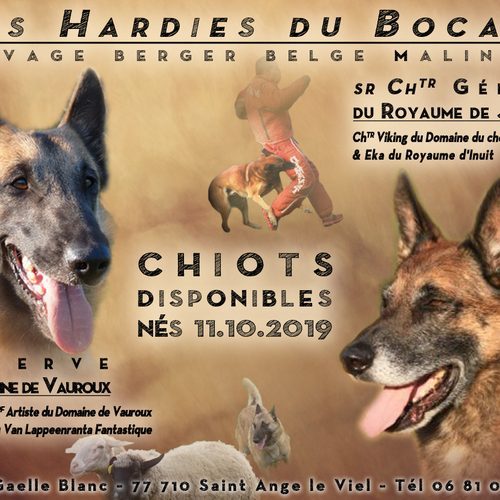 Elevage des Hardies du Bocage