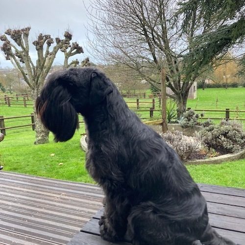 Elevage Family Ranch