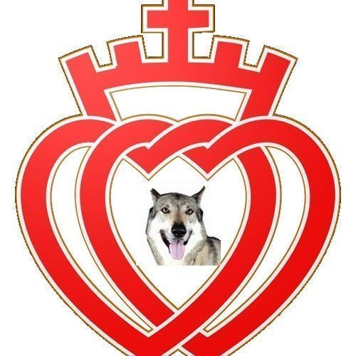 chiens loups tchécoslovaques