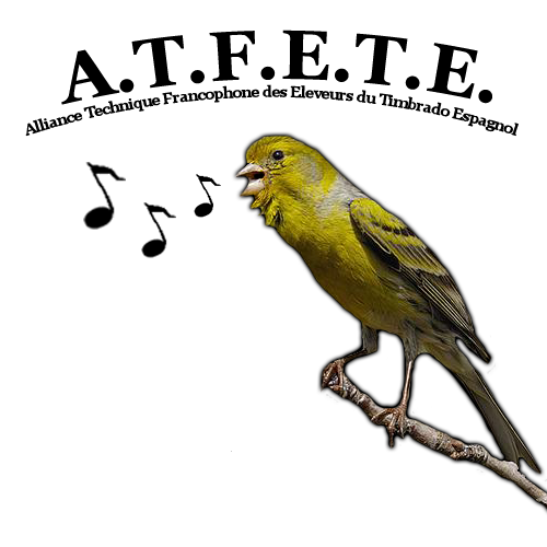 Éleveur amateur de Timbrado