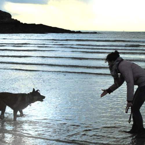 Educateur - comportementaliste- Coach canin