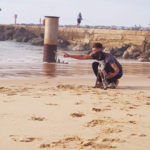 Elevage du terril des flandres