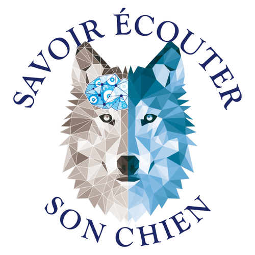 Education/rééducation canine