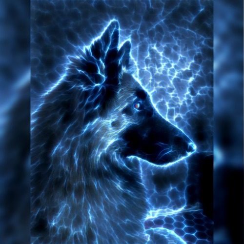 Elevage Shepherds of Neven's Valleys