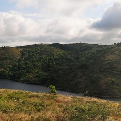 Elevage - Dressage - Pension du vallon de beaudini