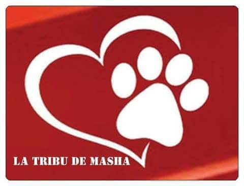 La tribu de Masha