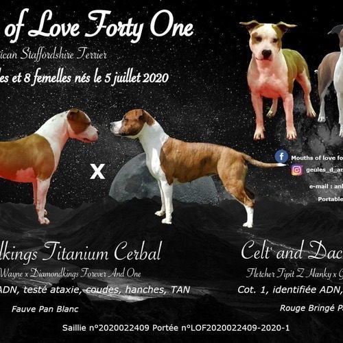 Mouths of love forty one