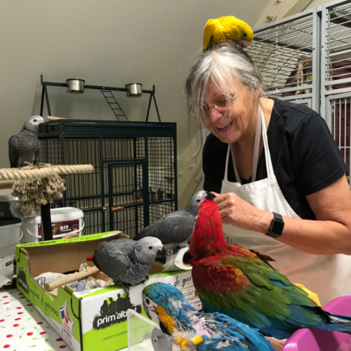 Suzy, éleveur passionnée