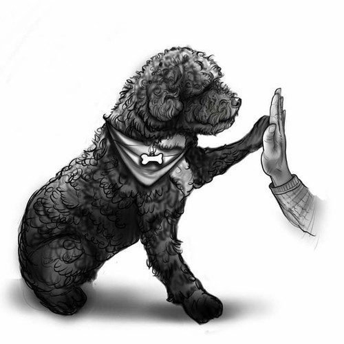 Des Portes De Barcan