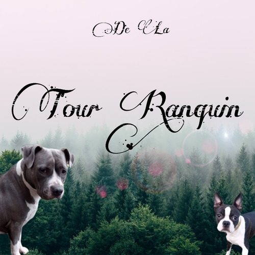 Les boston de la Tour Ranquin