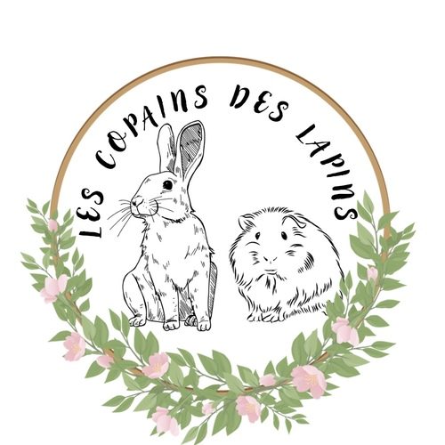Élevage lapins