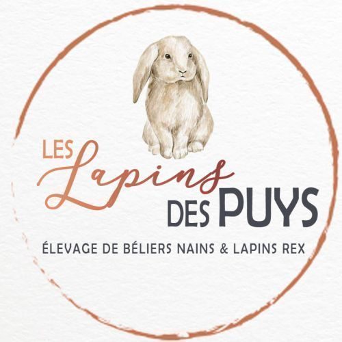 Les lapins des puys