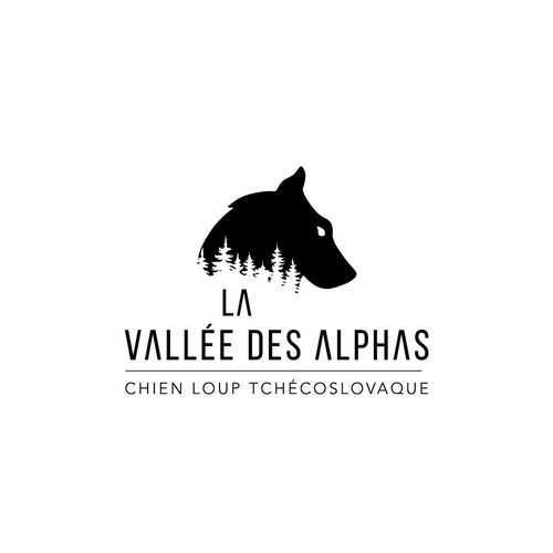 élevage de Chien-Loup Tchécoslovaque LOF