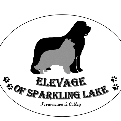 Elevage Of Sparkling Lake