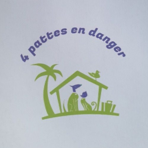 association 4 pattes en danger