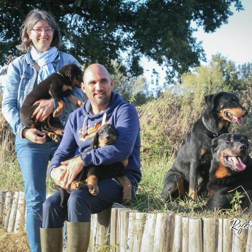 Elevage des terres de Chanteloup