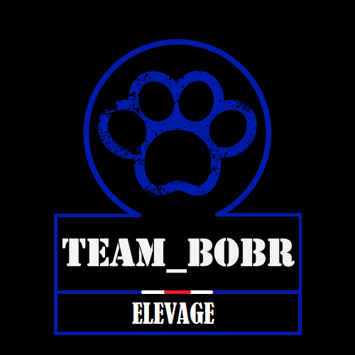 élevage de Berger Allemand LOF