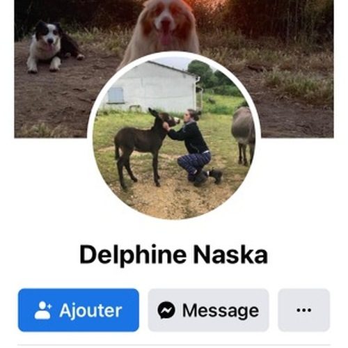 Elevage de Berger Australien LOF