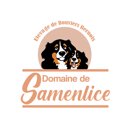 Domaine de Samenlice - Elevage de Bouviers Bernois