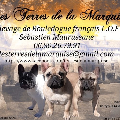 Les terres de la marquise