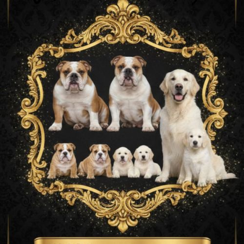 Les terres de la marquise