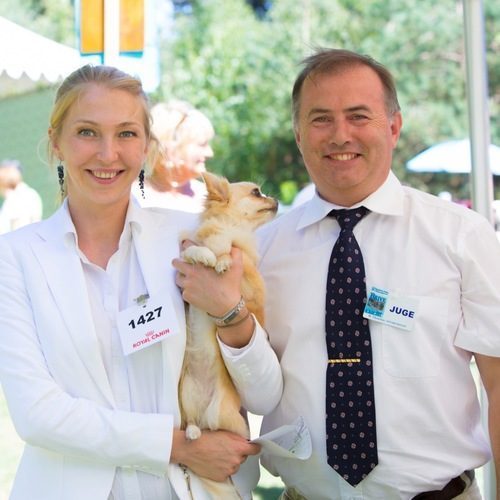 New Litelboss, chihuahua, LOF