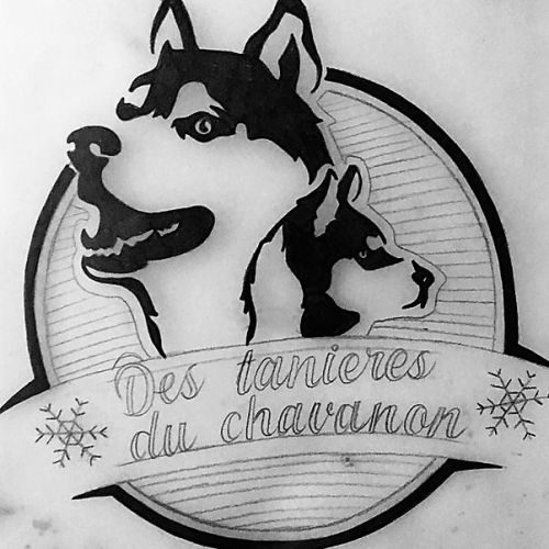 Des tanieres du chavanon élevage de husky lof