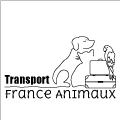 Transporteur animalier professionnel