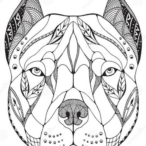 Élevage In The Dream of The Night