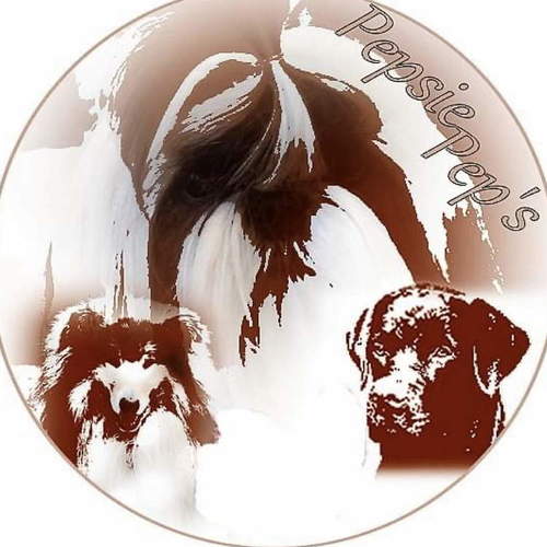 Élevage de pepsie pep’s