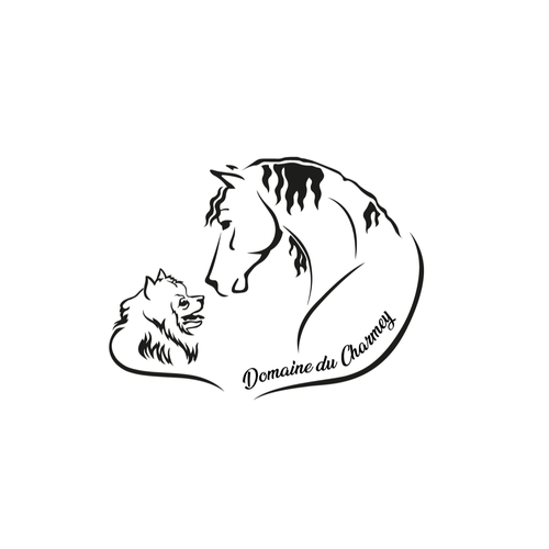 Domaine du charmey - chiots spitz