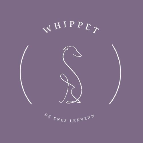 Passionnément whippet