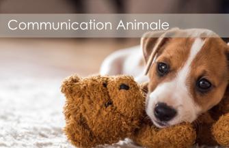 Communication Animale pour son bien-être - Landes