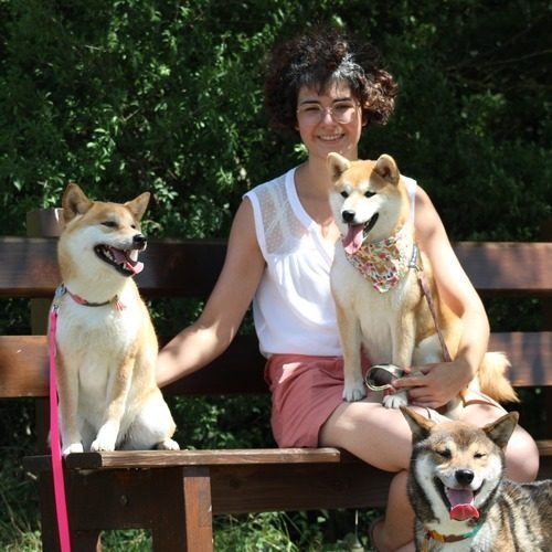 Élevage Shiba Inu LOF