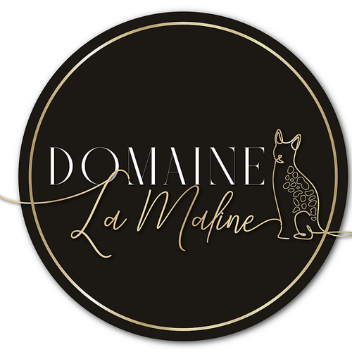 Elevage de chat du Bengal LOOF - Domaine la Maline