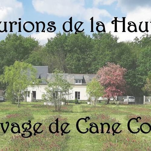 Les Centurions de la Haute Brosse