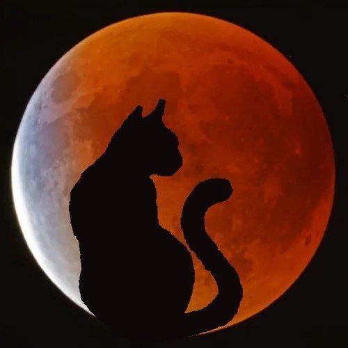 Chatterie de la Lune Rousse