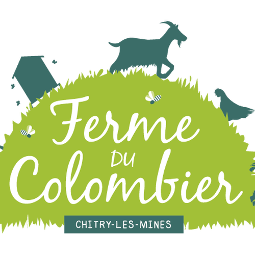 Elevage de border collie tricolore et lof