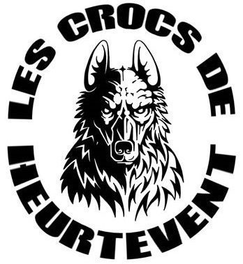 Chiots Bergers Allemands