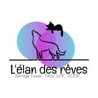 Elevage de l'élan des rêves